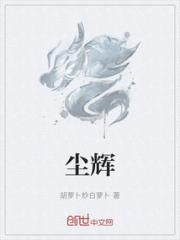 尘辉小说阅读