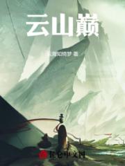 云山巅小说阅读