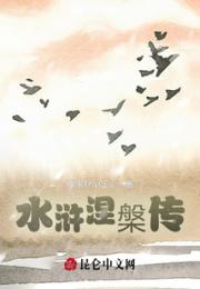 水浒涅槃传3小说阅读
