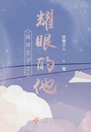 网球王子之耀眼的他小说阅读