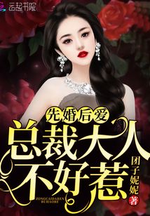 先婚后爱：总裁大人不好惹小说阅读