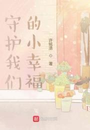 守护我们的小幸福小说阅读