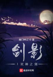 剑影I死神之剑小说阅读
