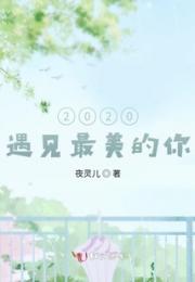 2020，遇见最美的你小说阅读