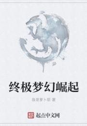 终极梦幻崛起小说阅读
