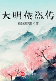 大明侠盗传