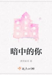 暗中的你小说阅读