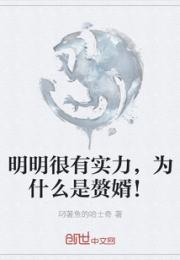 明明很有实力，为什么是赘婿！