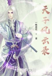 天子风云录小说阅读