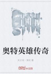 奥特英雄传奇小说阅读