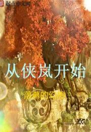 从侠岚开始小说阅读