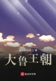 大鲁王朝小说阅读