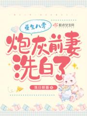 重生八零，炮灰前妻洗白了小说阅读