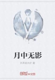 月中无影小说阅读