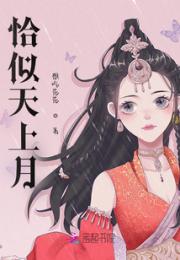 恰似天上月小说阅读