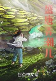 盛唐弄潮儿小说阅读