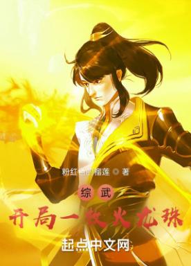 综武：开局一枚火龙珠小说阅读