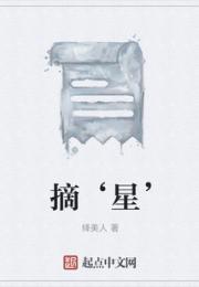 摘‘星’小说阅读