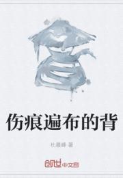 伤痕遍布的背小说阅读