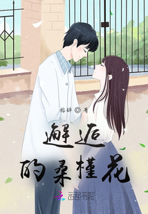邂逅的桑槿花