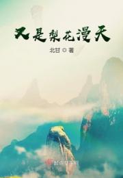 又是梨花漫天小说阅读
