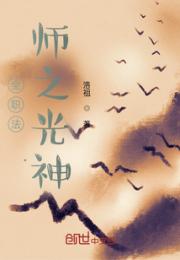 全职法师之光系法神小说阅读