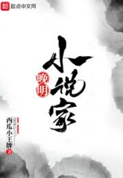 晚明小说家小说阅读