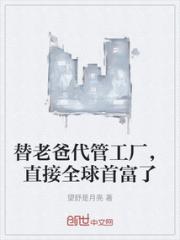 替老爸代管工厂，直接全球首富了小说阅读
