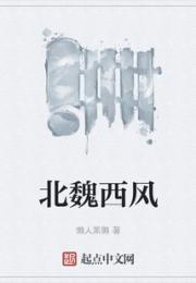北魏西风小说阅读