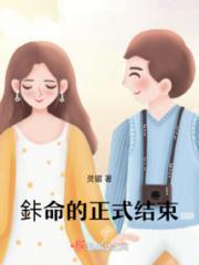 鉲命的正式结束小说阅读