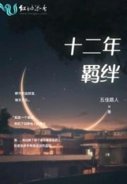 十二年羁绊小说阅读