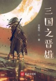 三国之晋雄小说阅读