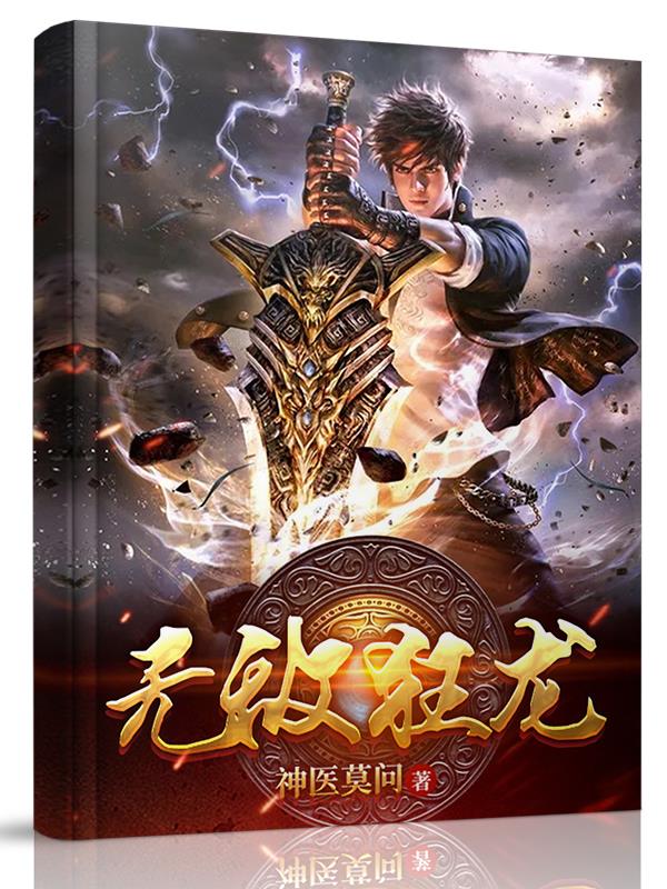 无敌狂龙小说阅读