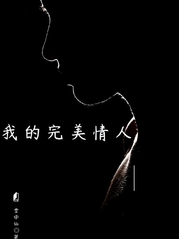 我的完美情人小说阅读