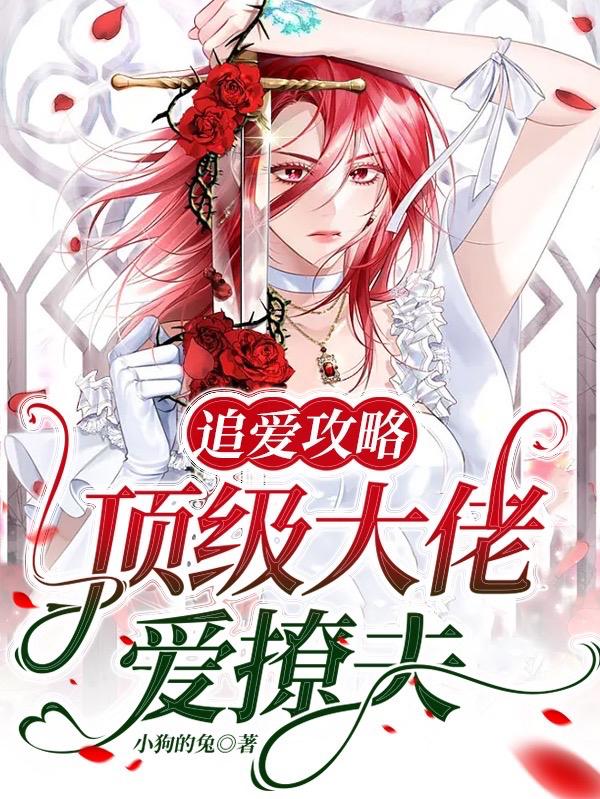 追爱攻略：顶级大佬爱撩夫小说阅读