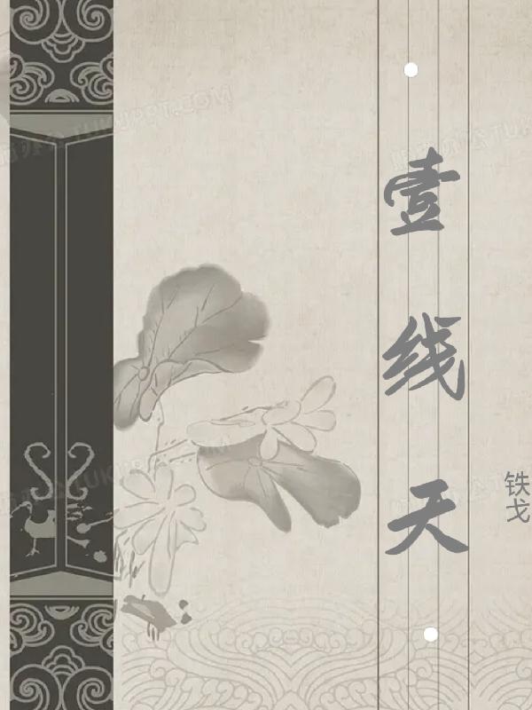 壹线天小说阅读