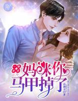 一胎双宝：妈咪你马甲掉了小说阅读