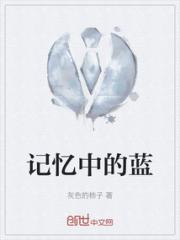 记忆中的蓝小说阅读