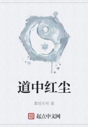 道中红尘小说阅读