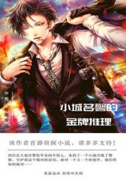 小城名警的金牌推理小说阅读
