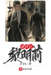 潜伏在黎明前小说阅读