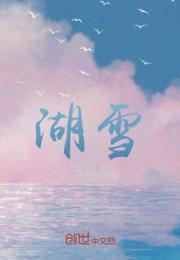 湖雪小说阅读