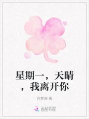 星期一，天晴，我离开你小说阅读