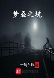 梦叠之境小说阅读