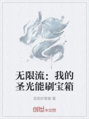 无限流：我的圣光能刷宝箱小说阅读