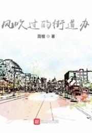 风吹过的街道办小说阅读