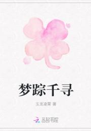 梦踪千寻小说阅读