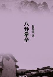 八卦拳学小说阅读