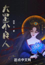 大罡不良人小说阅读
