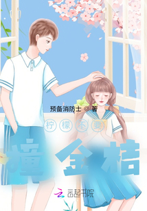 柠檬不要撞金桔小说阅读